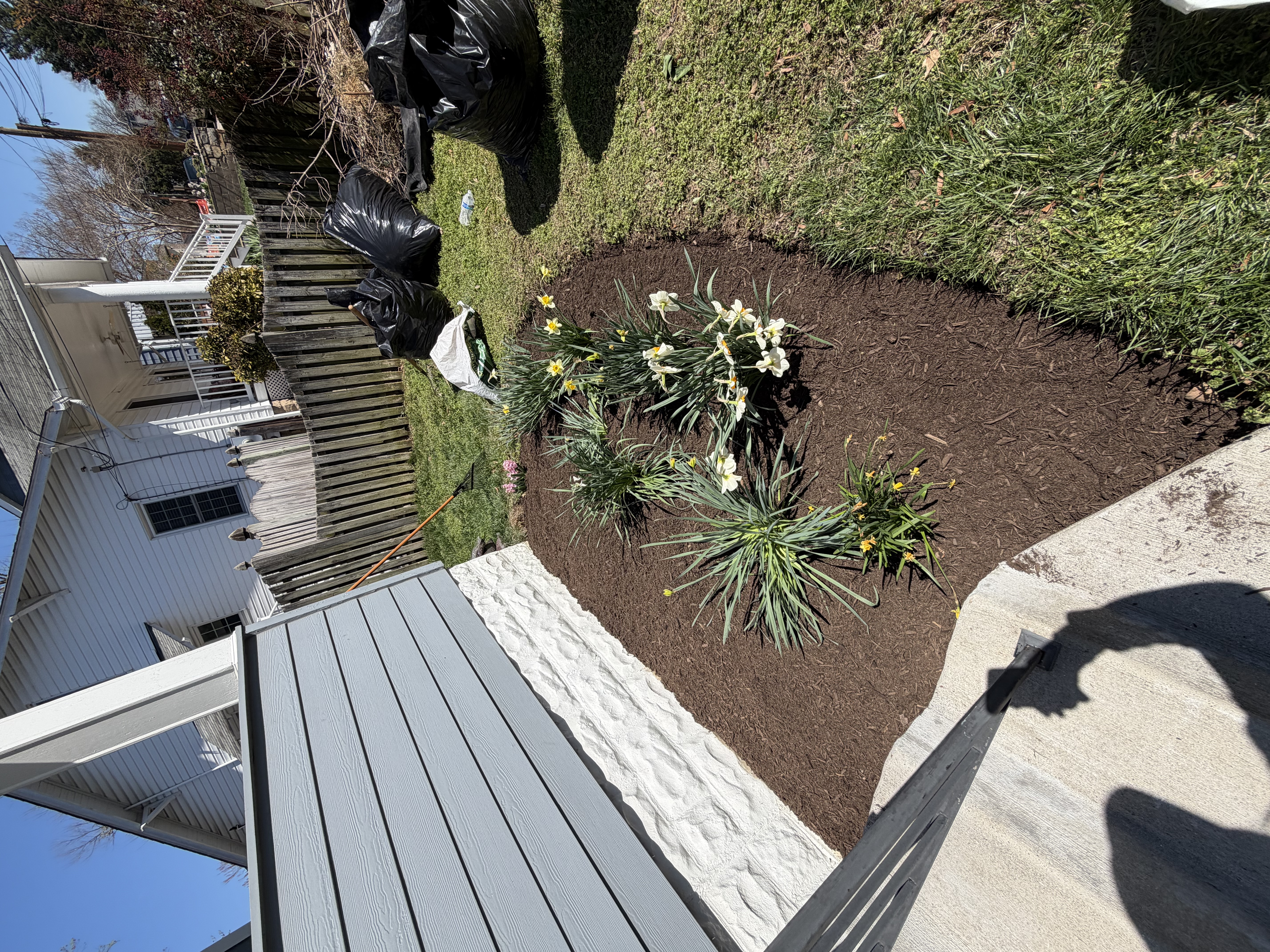 After - Transformation