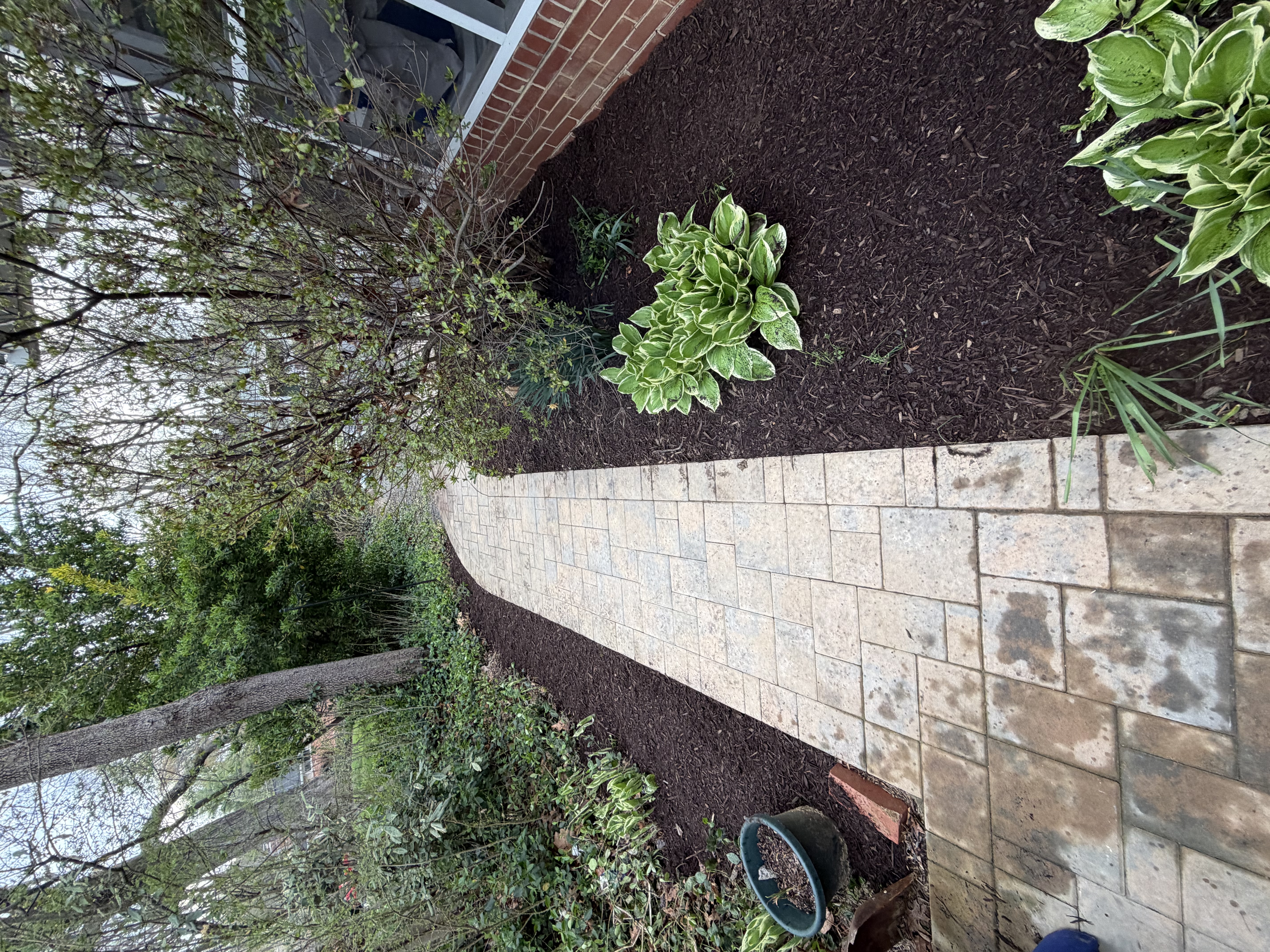 After - Transformation