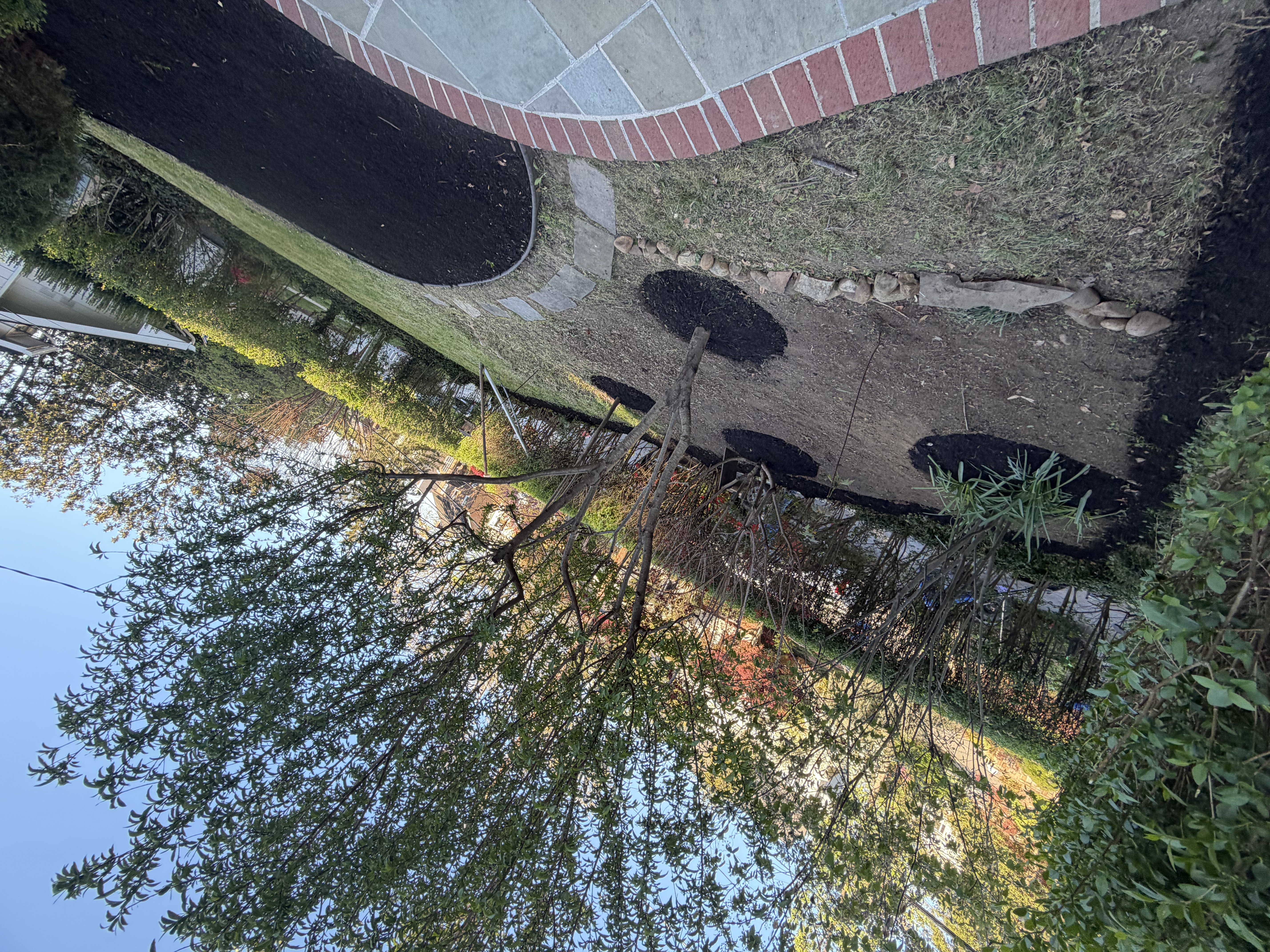 After - Transformation