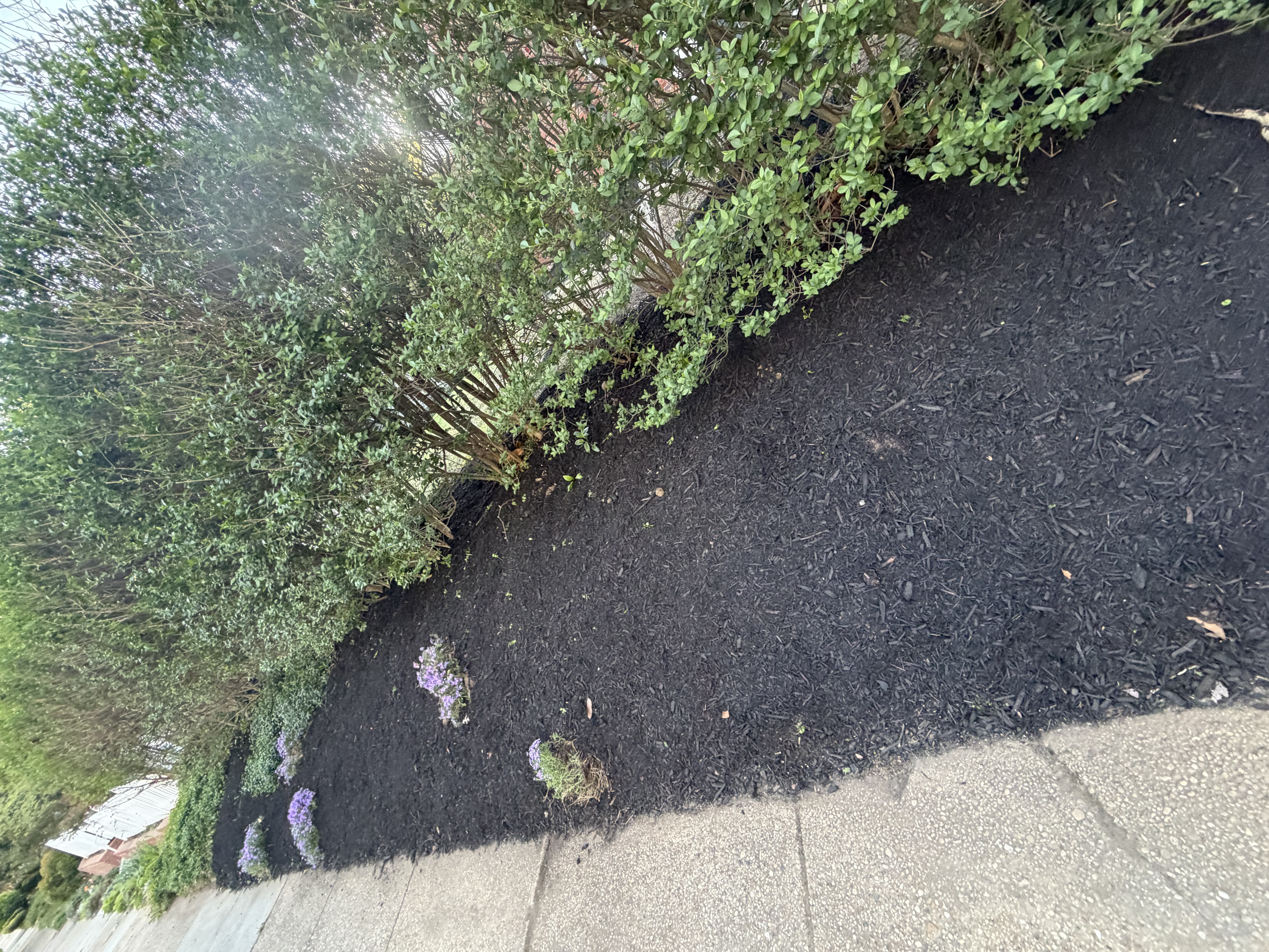 After - Transformation