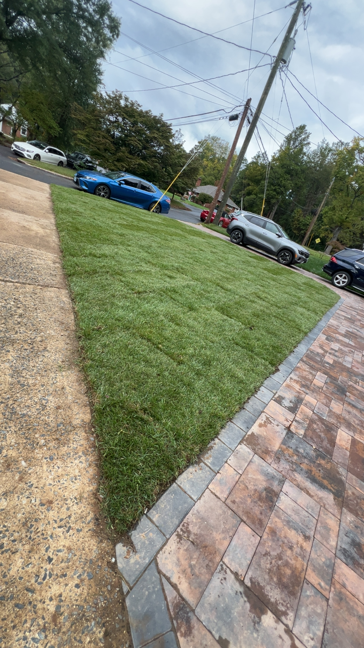After - New sod installation