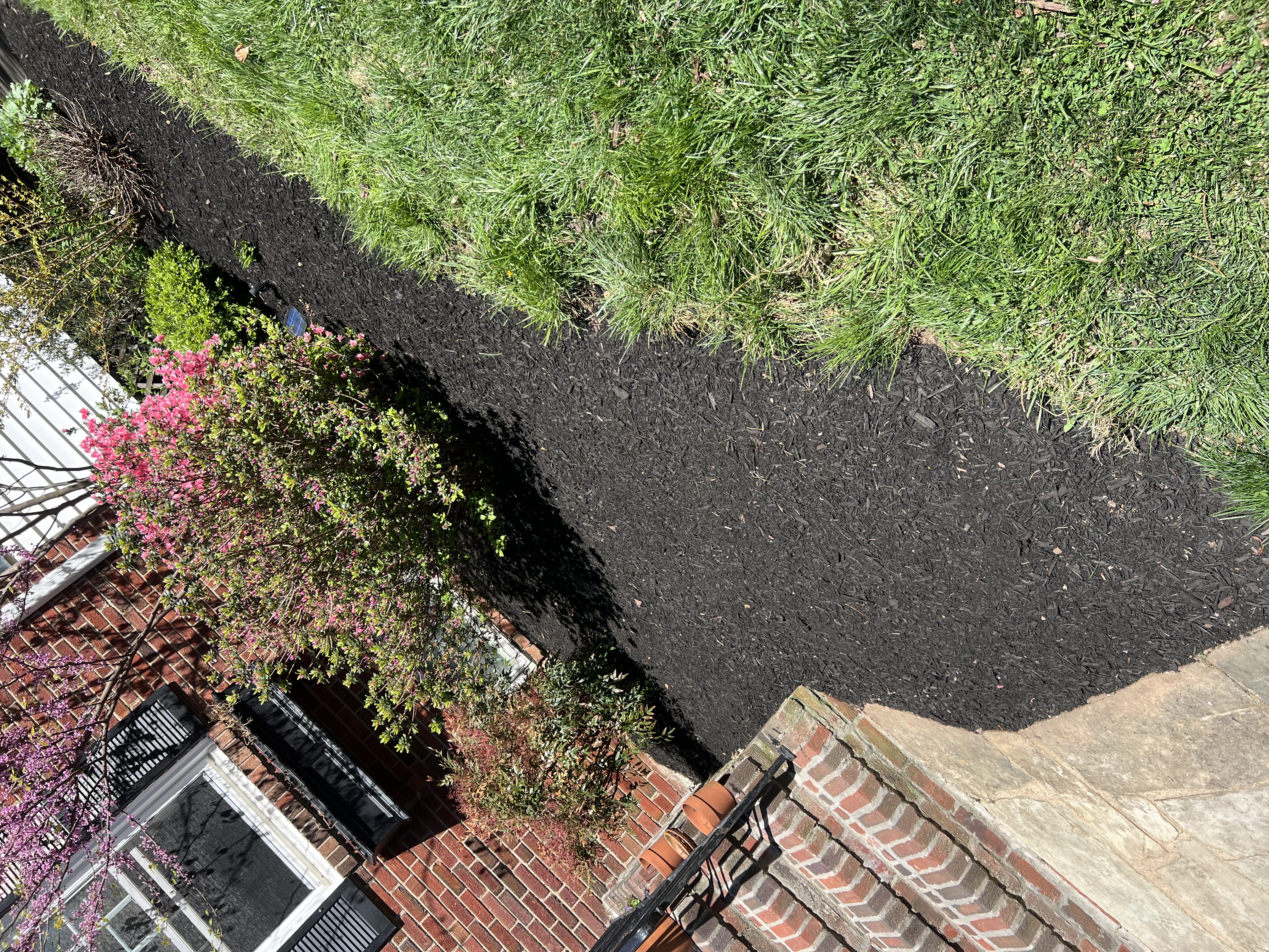 After - Transformation