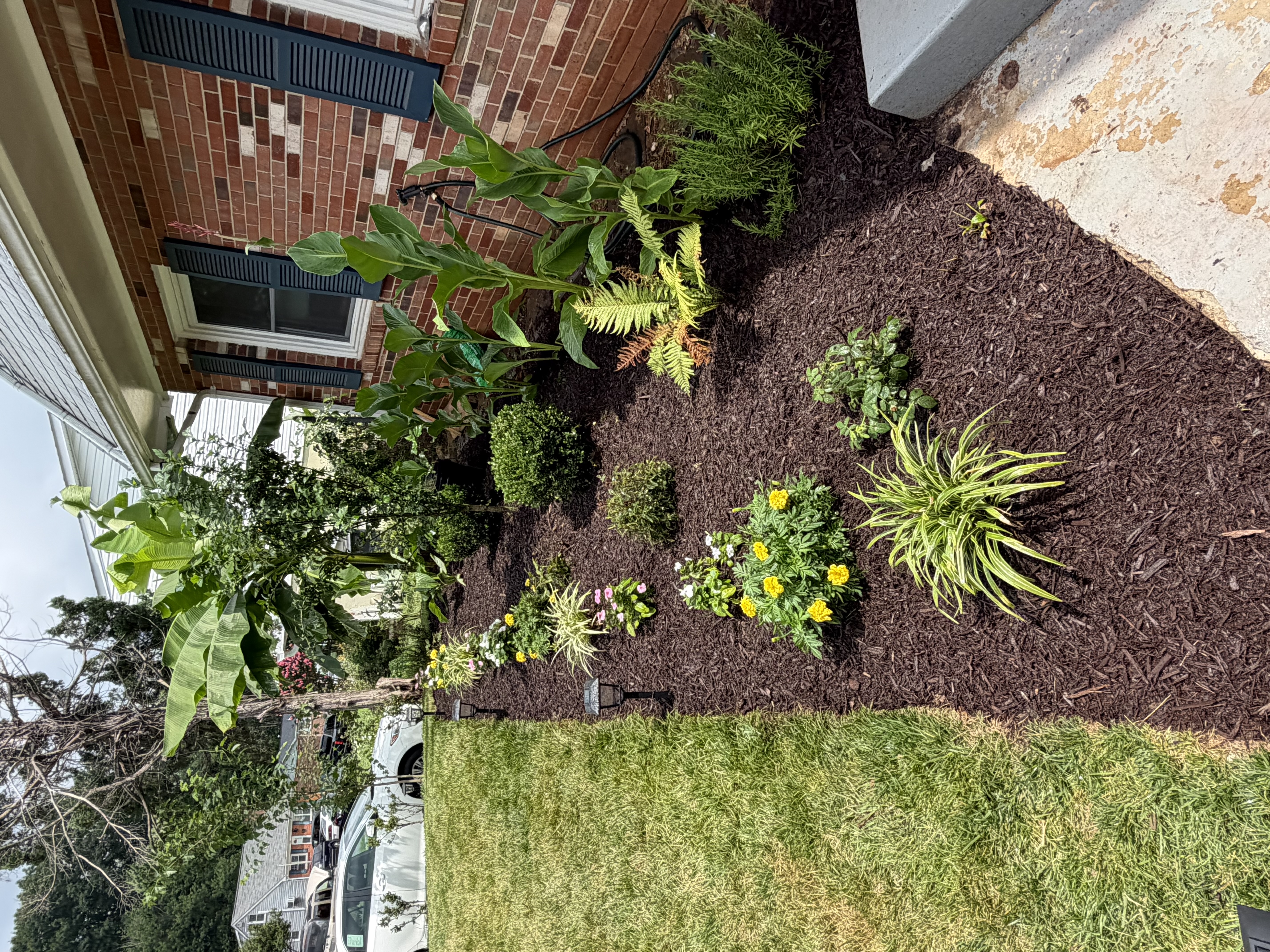 After - Garden 🪴
