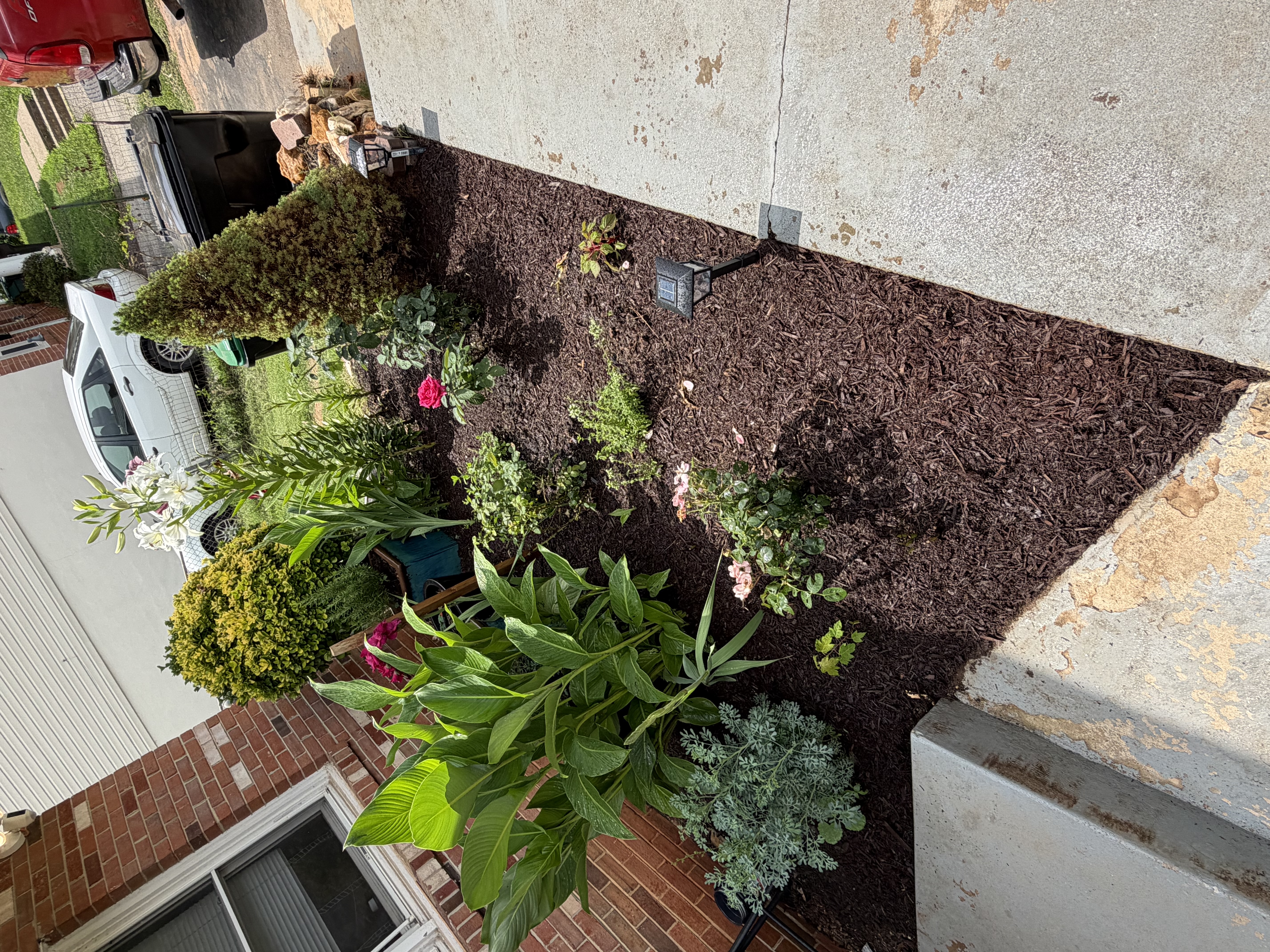 After - New plants 🌱