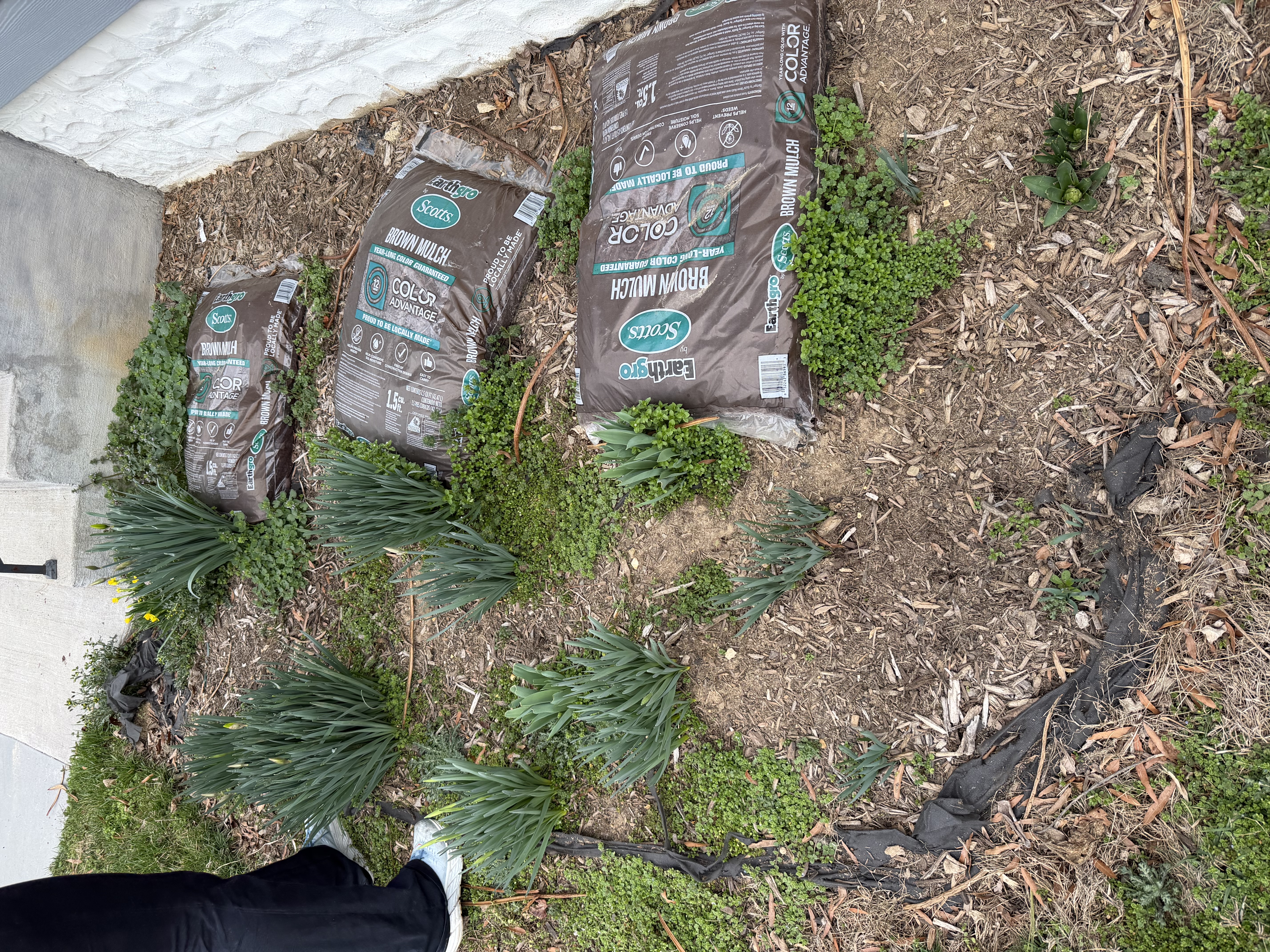 Before - Transformation