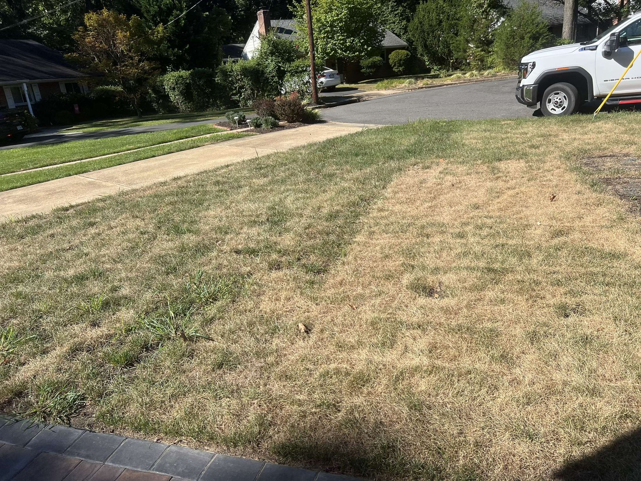 Before - New sod installation
