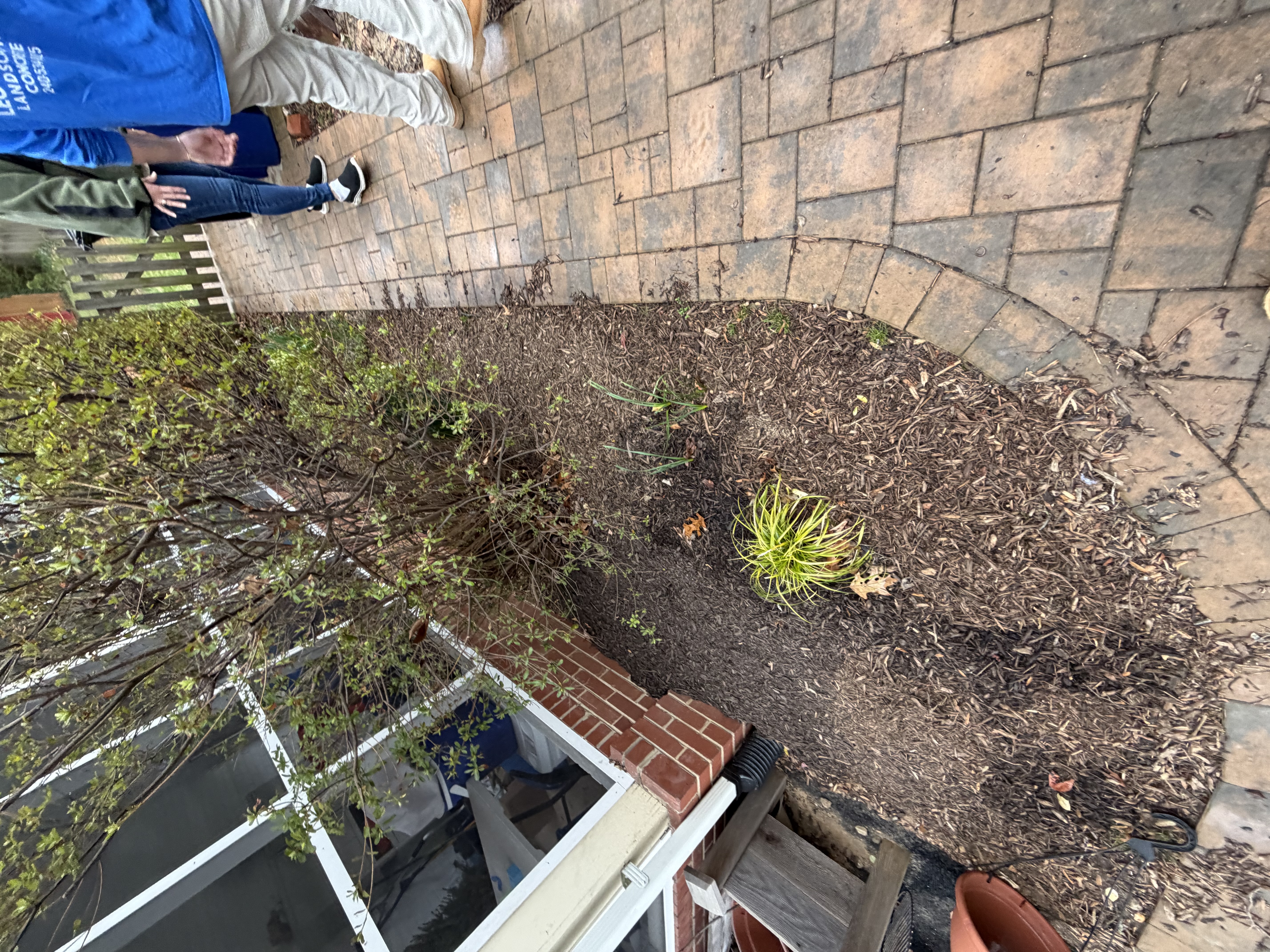 Before - Transformation