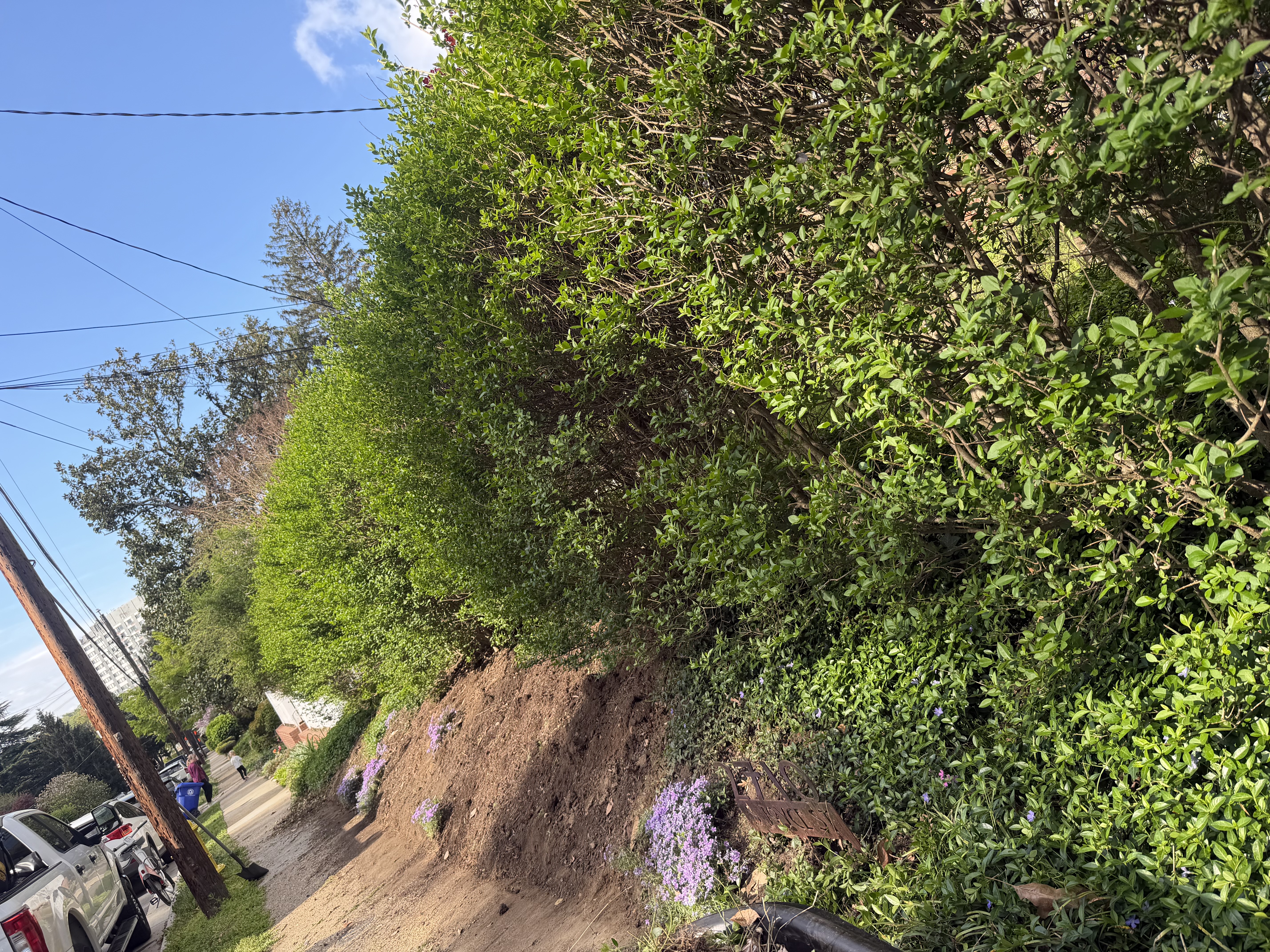 Before - Transformation