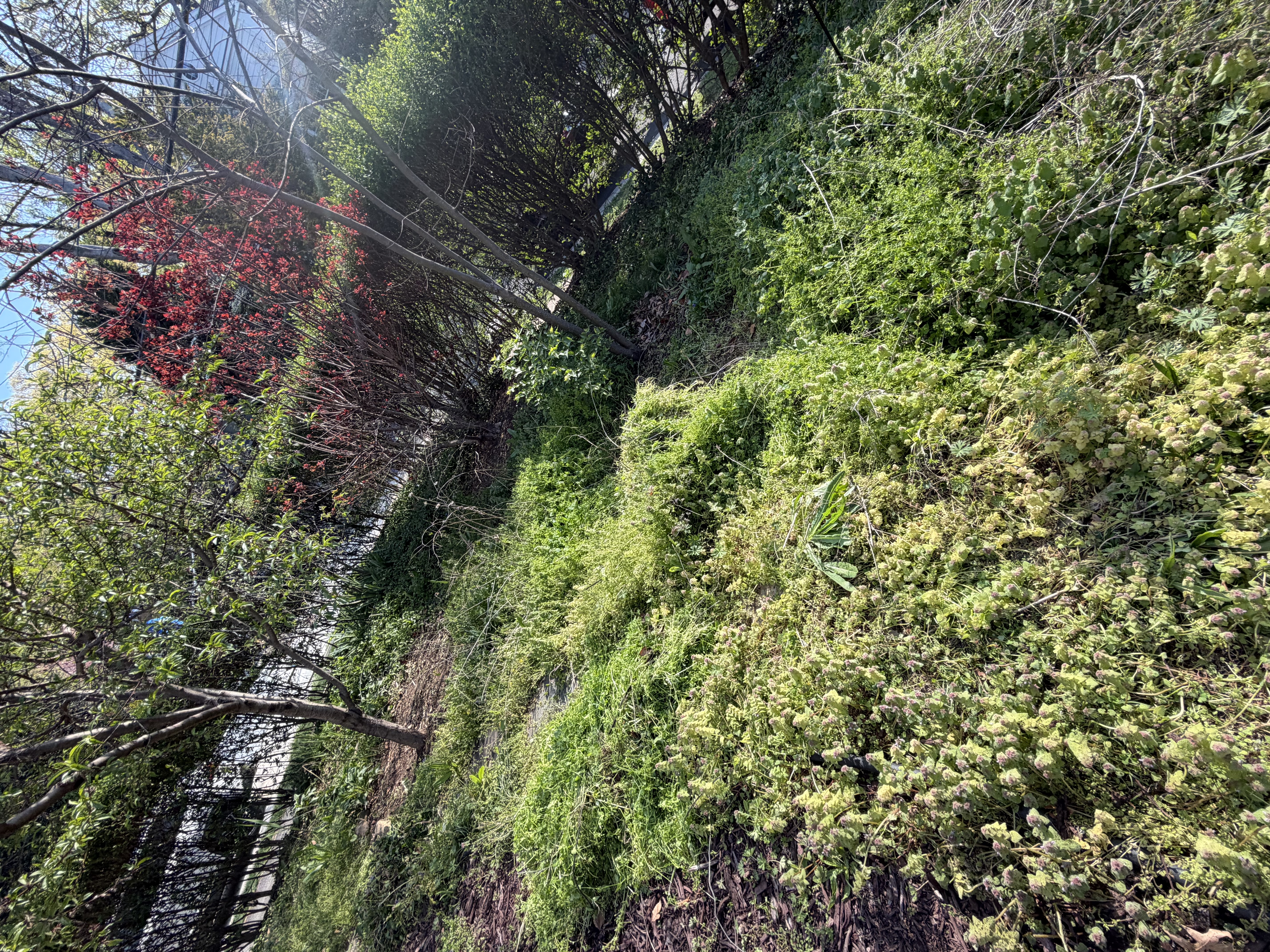 Before - Transformation