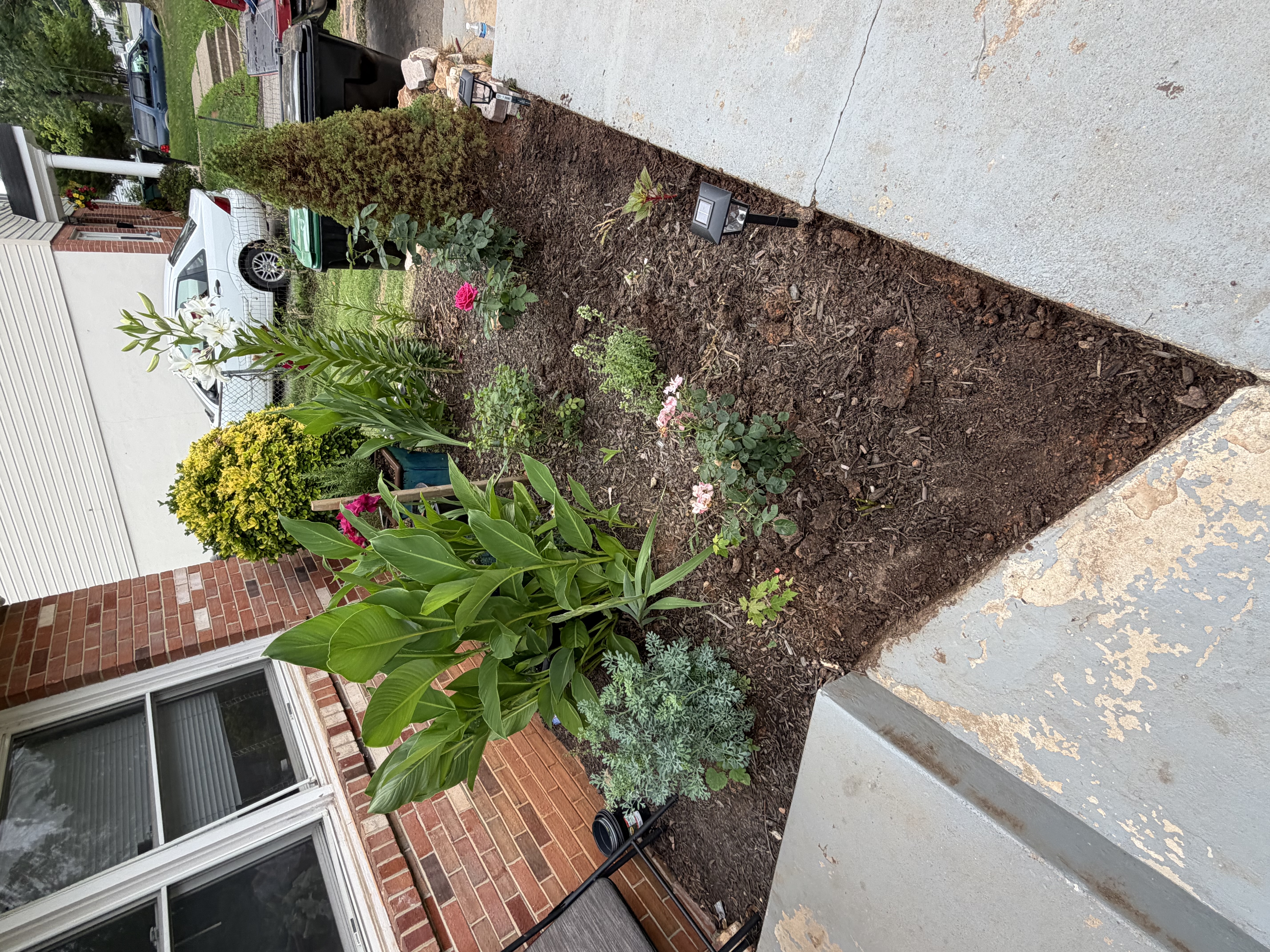 Before - New plants 🌱
