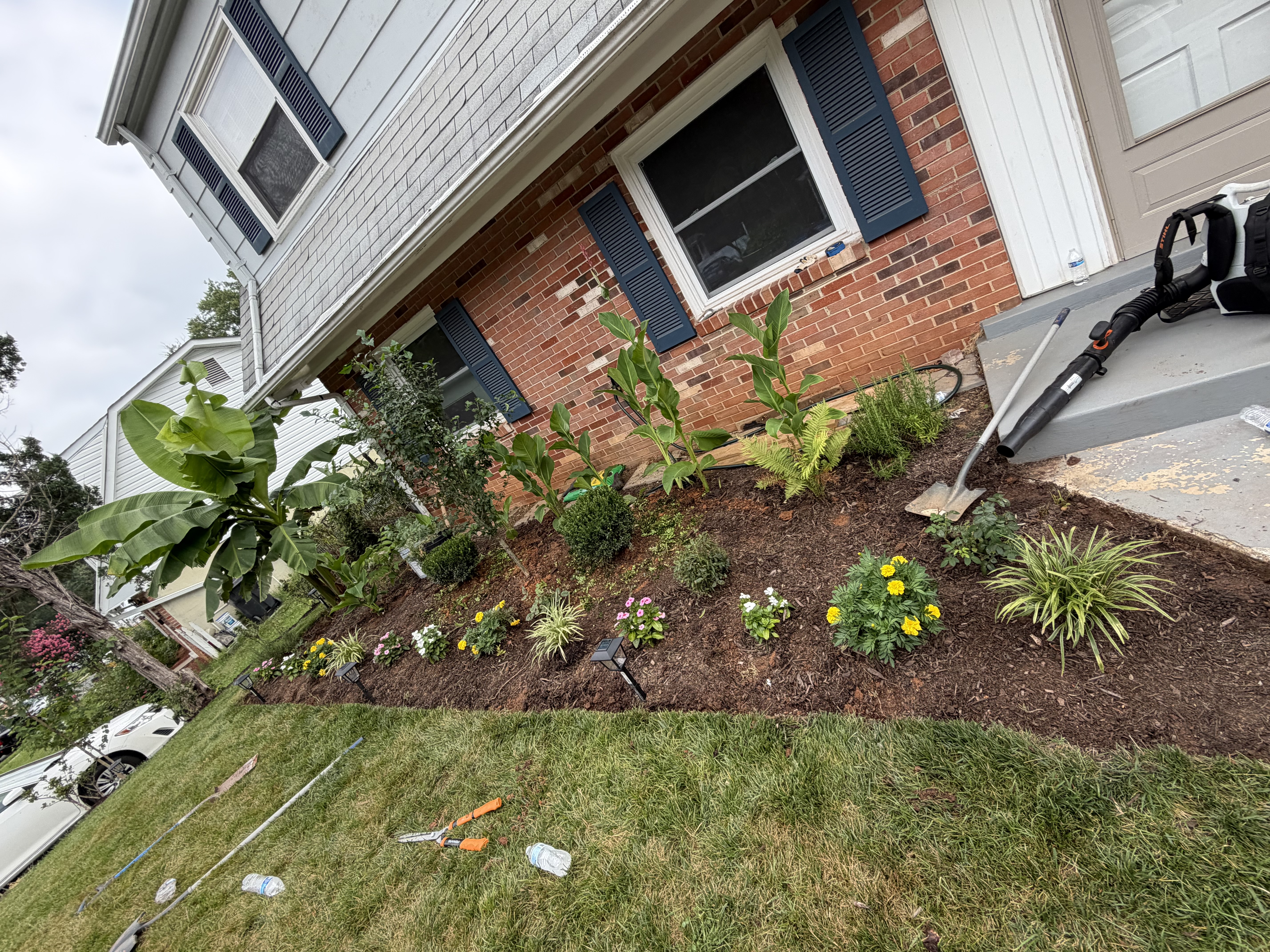 Before - Garden 🪴