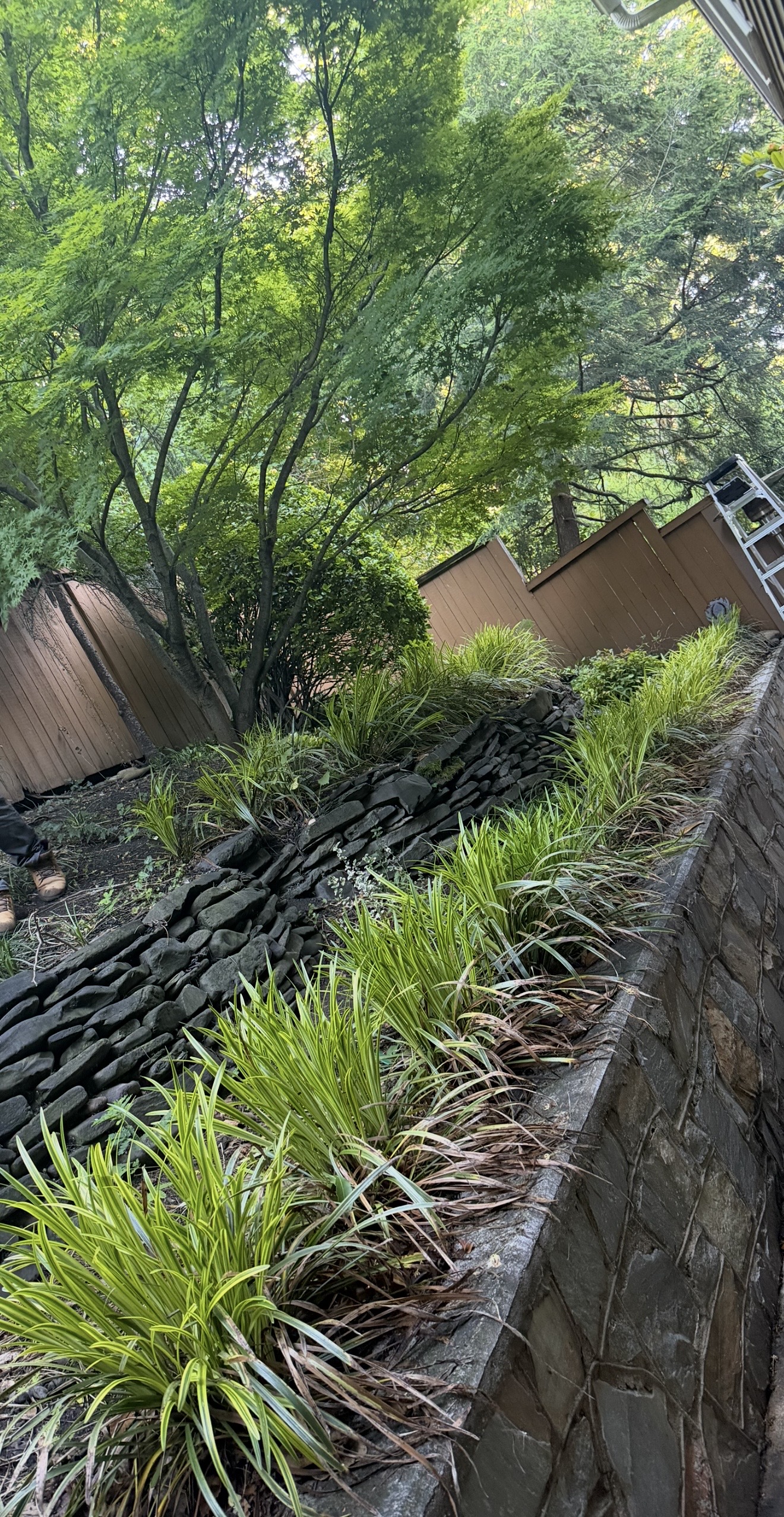 Before - Mulch