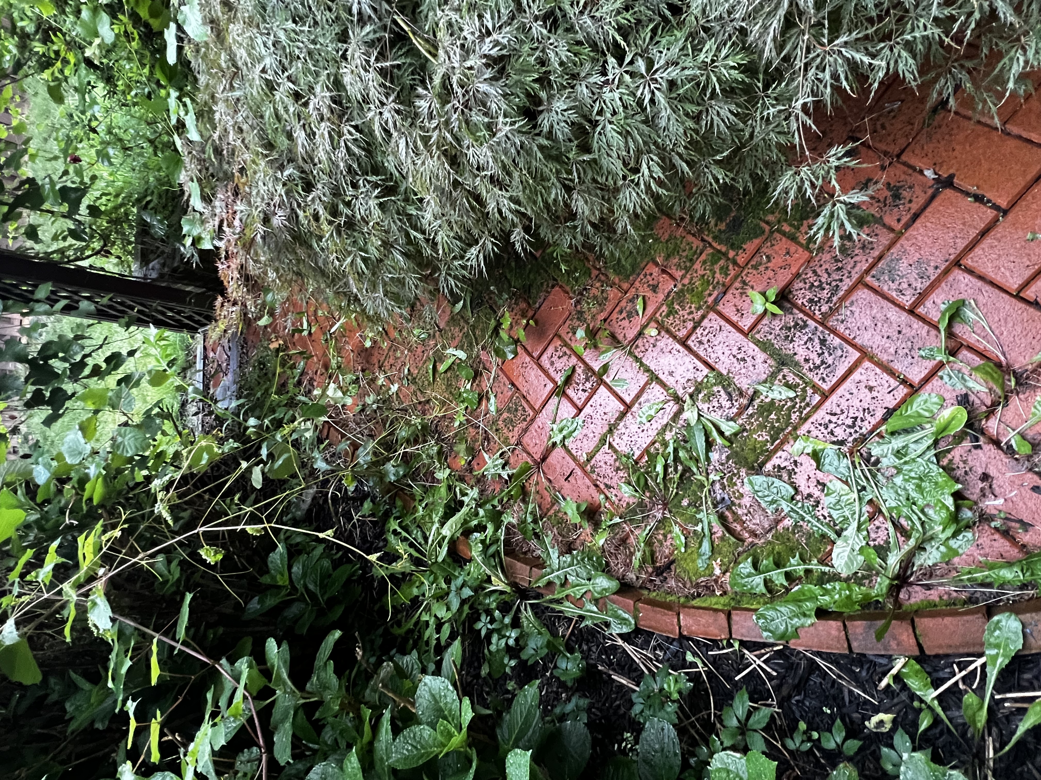 Before - Transformation