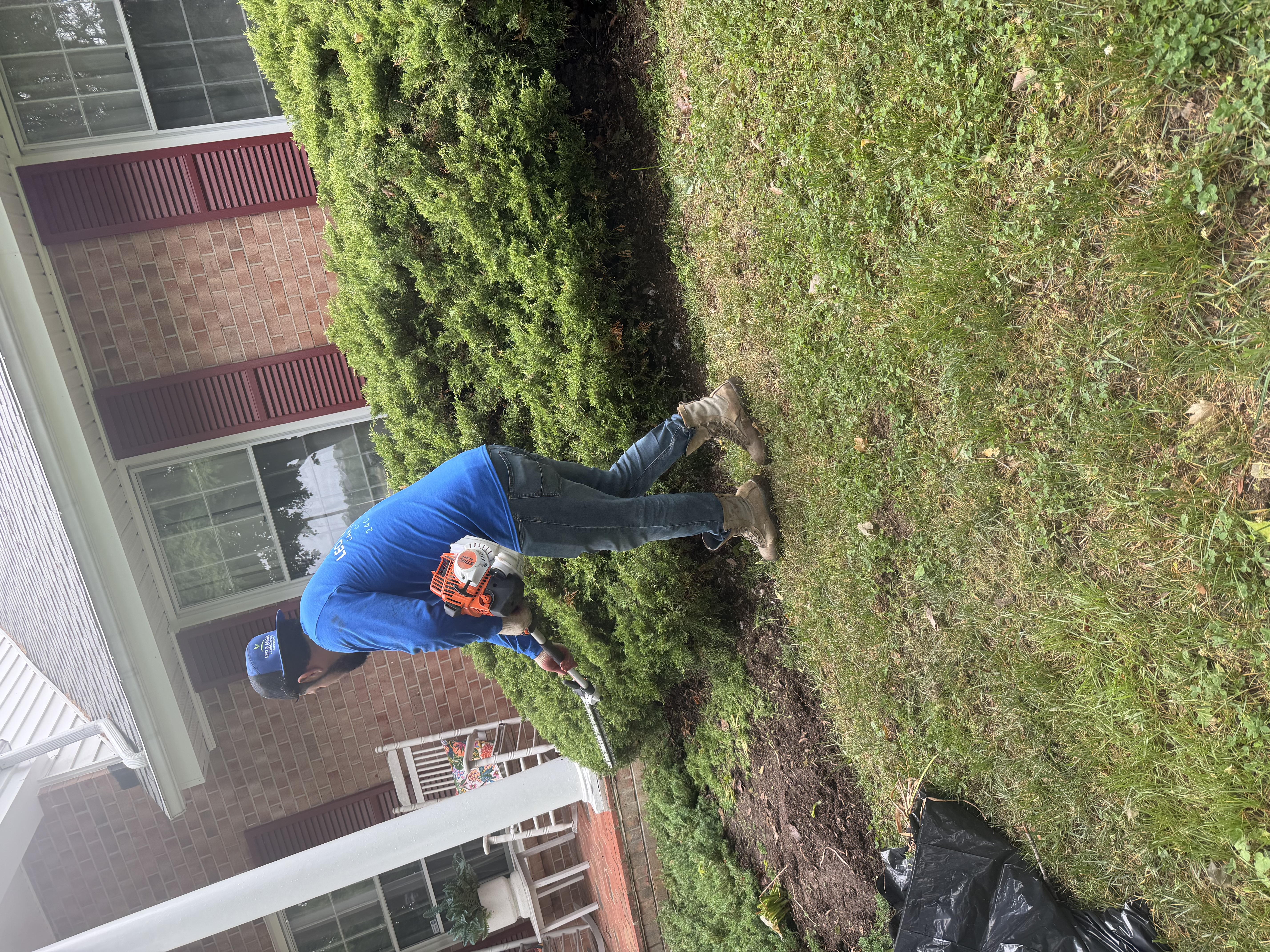 Pruning