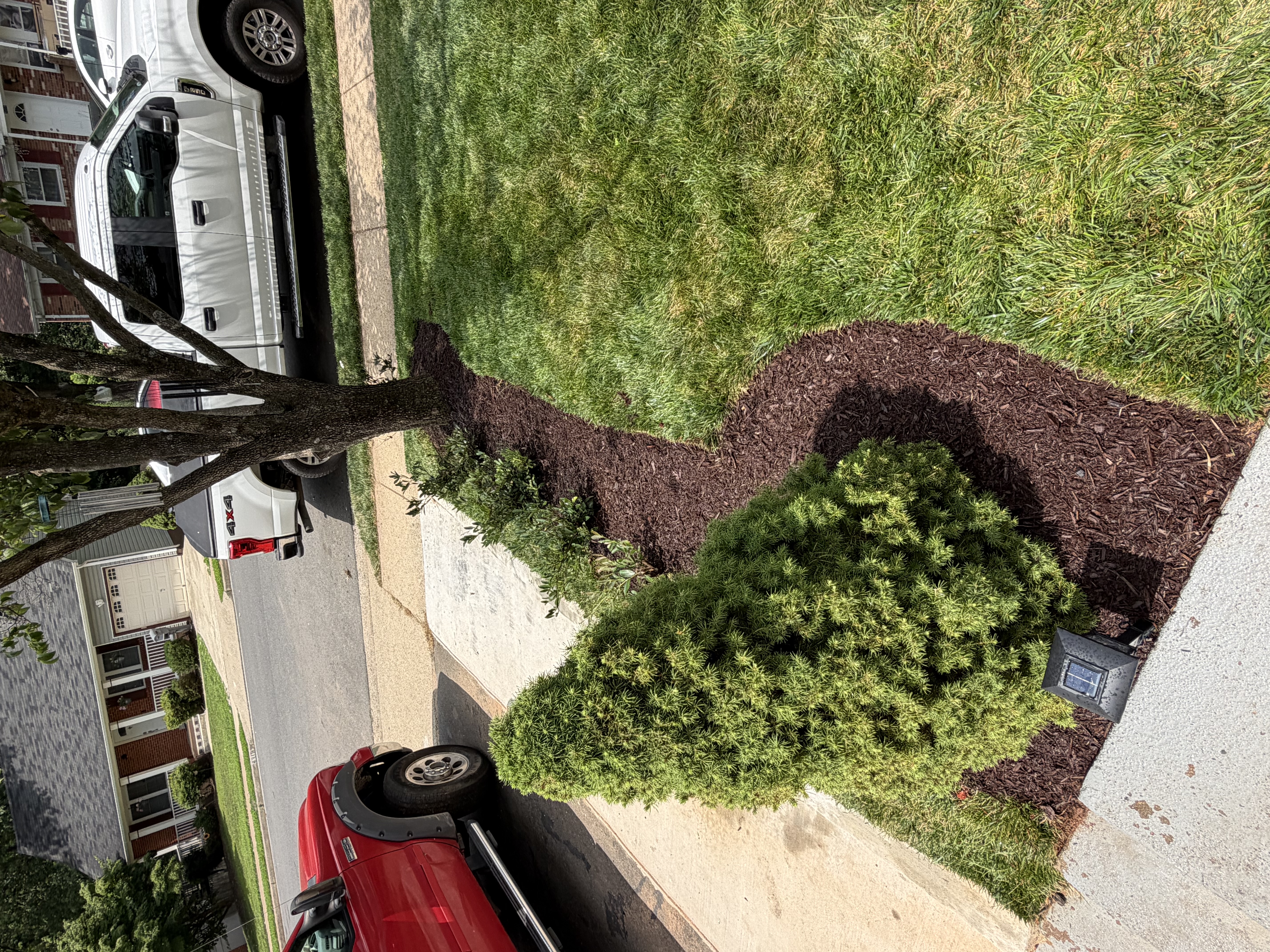Mulch