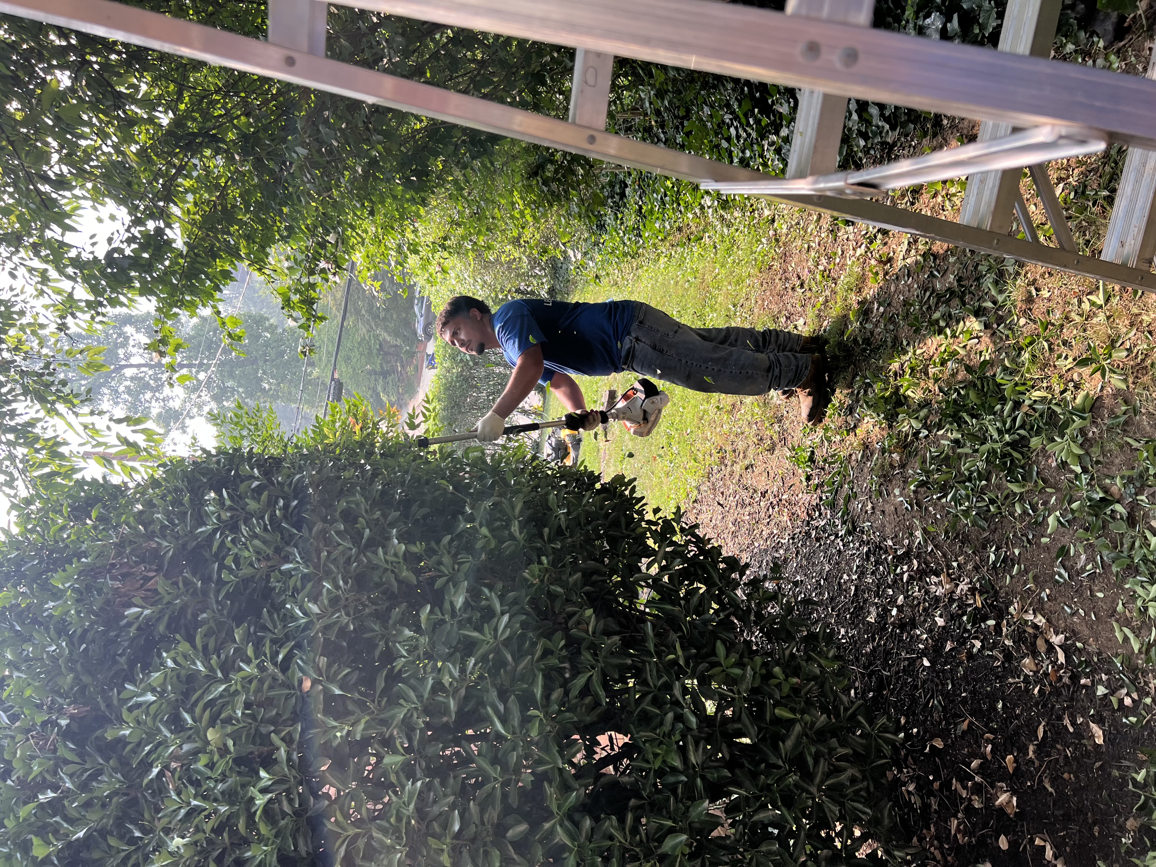 Pruning service